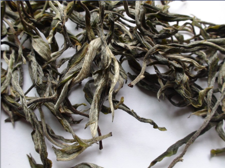 2021年馬鞍山古樹秋茶價(jià)格？