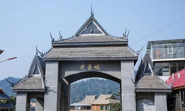 2021年老曼峨古樹秋茶特點？