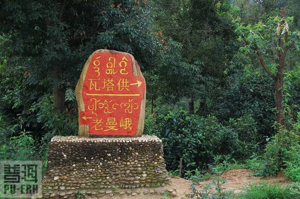 2021年老曼峨古樹秋茶價格多少？