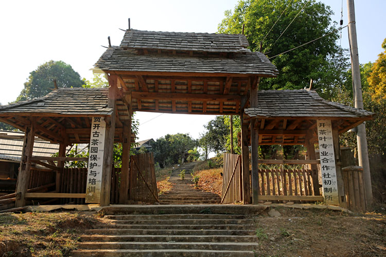 2021年賀開古樹秋茶特點？