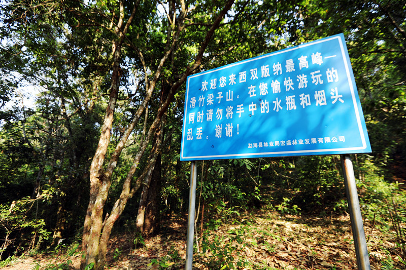 2021年滑竹梁子古樹秋茶價格？