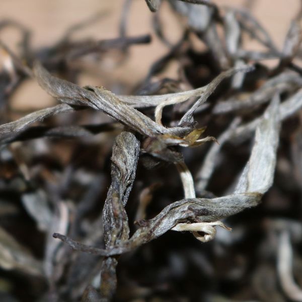 2021年帕沙古樹秋茶，你了解多少？