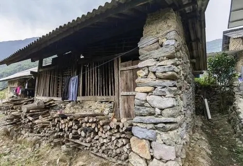 2022年景谷黃草壩古樹(shù)春茶特點(diǎn)是什么？