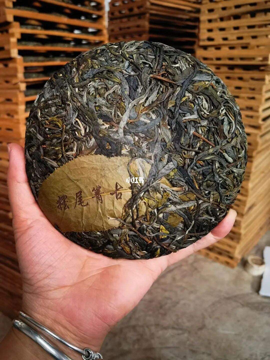 2022年寧洱 擺尾箐古樹春茶價格？