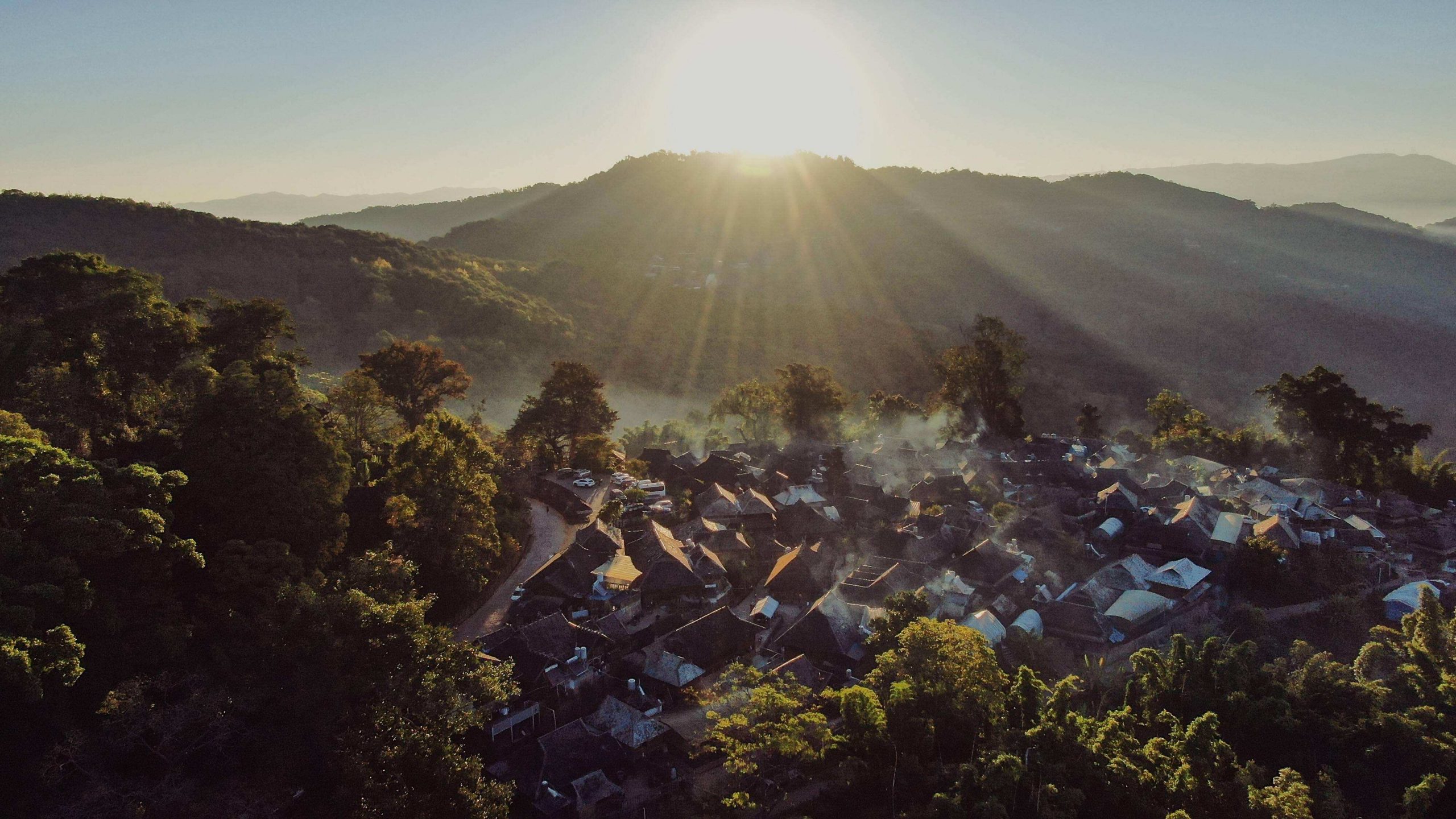 2022年景邁山古樹春茶特點(diǎn)？