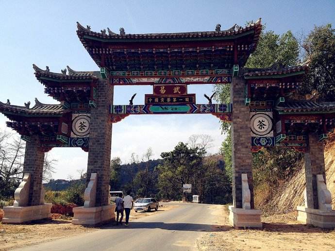 2022年易武正山古樹春茶價格？