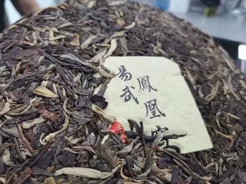 2022年鳳凰窩古樹(shù)高桿，鳳凰筑巢的地方