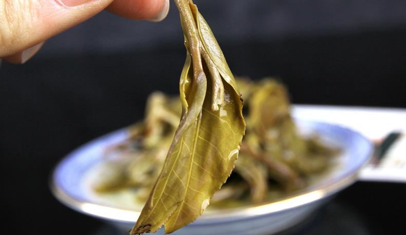 2022年冷水河古樹春茶價(jià)格？