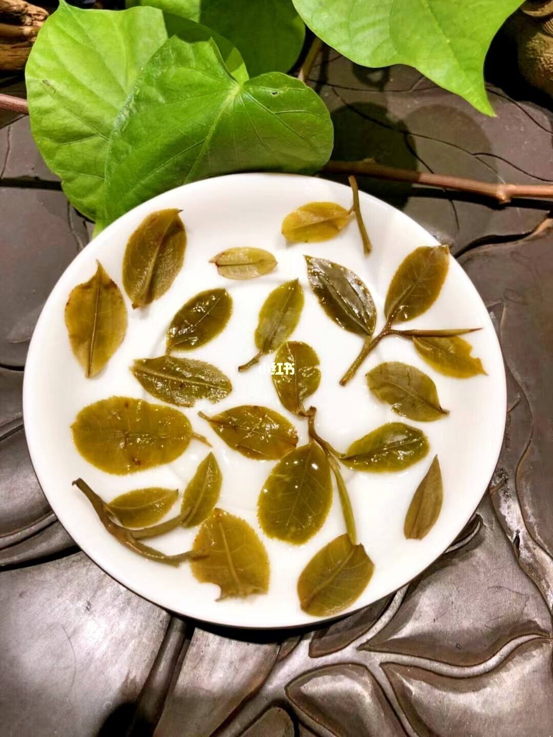 2022年倚邦貓耳朵古樹春茶多少錢一公斤？