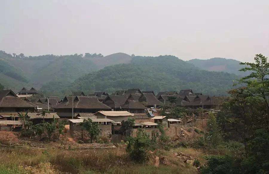 2022年革登古樹春茶特點(diǎn)？