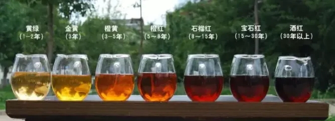 2022年普洱茶的茶湯湯色要怎么描述？