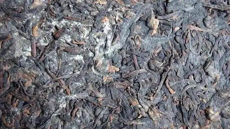 普洱茶怎么樣才算發(fā)霉？