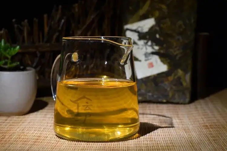 有茶油的普洱茶正常嗎？茶油是如何形成的？