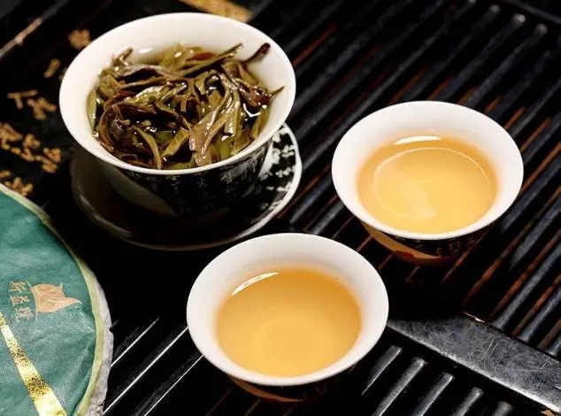 茶會“說話”，讀懂云南古樹普洱茶的秘訣