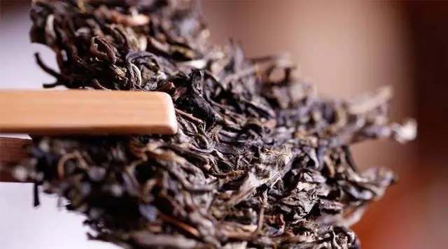 普洱生茶好還是普洱熟茶好喝？如何挑選適合自己的普洱茶？