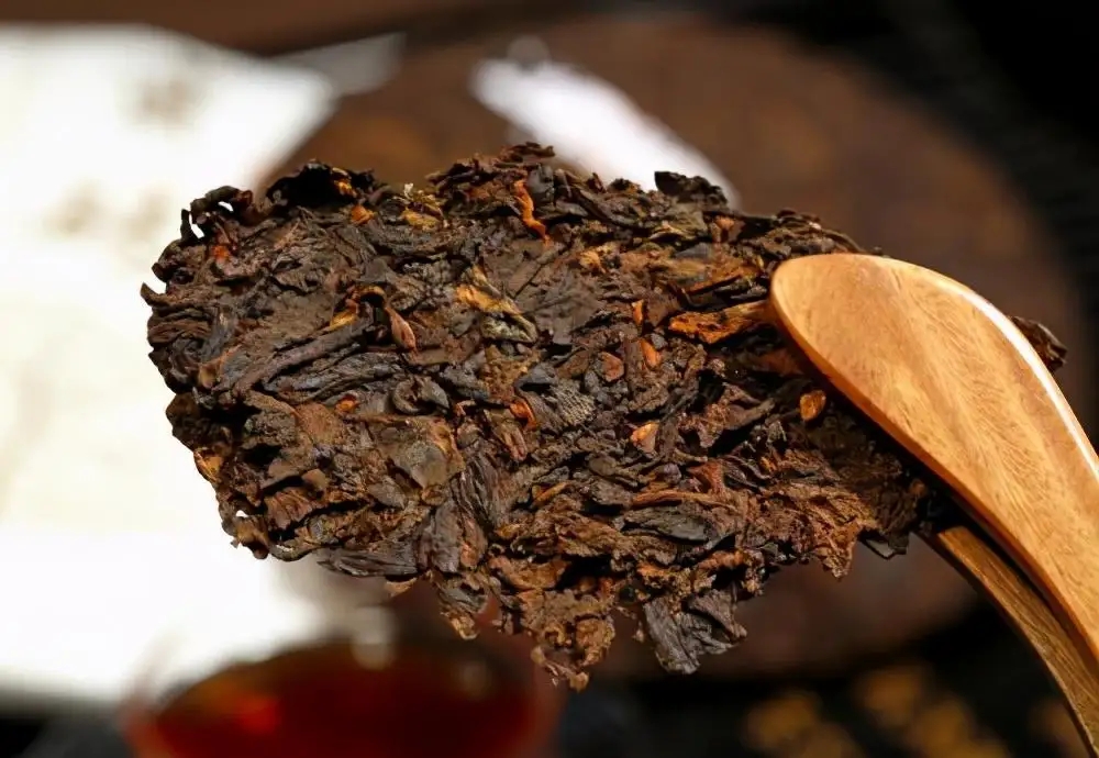 普洱茶生津、回甘、滋味、口感是怎么回事？丨實(shí)用