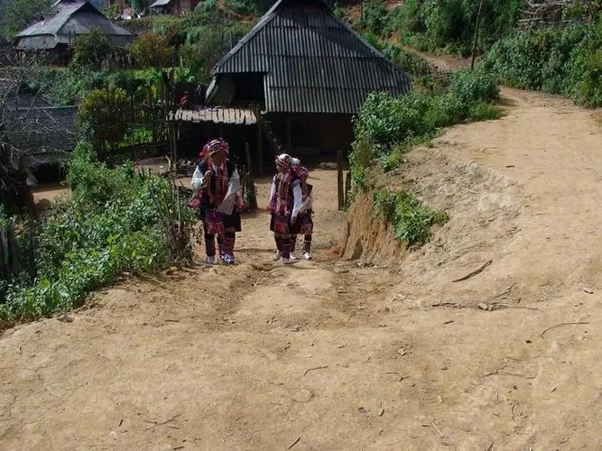 2022年的春天，古樹(shù)味道從犀牛塘開(kāi)始！