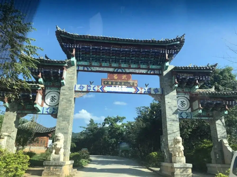 古樹(shù)茶年份越老，茶葉就越好嗎？影響茶葉品質(zhì)的因素有哪些？