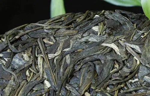 喝普洱茶，一定要喝老茶嗎？