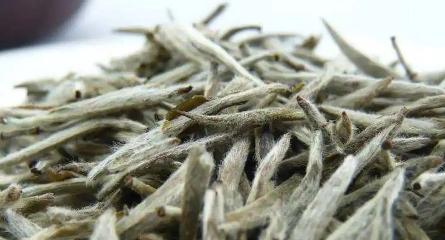 茶毫越多的茶，品質(zhì)就越高嗎？