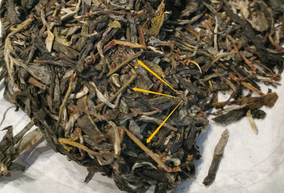 普洱茶的葉底有茶梗，就是茶不好嗎？