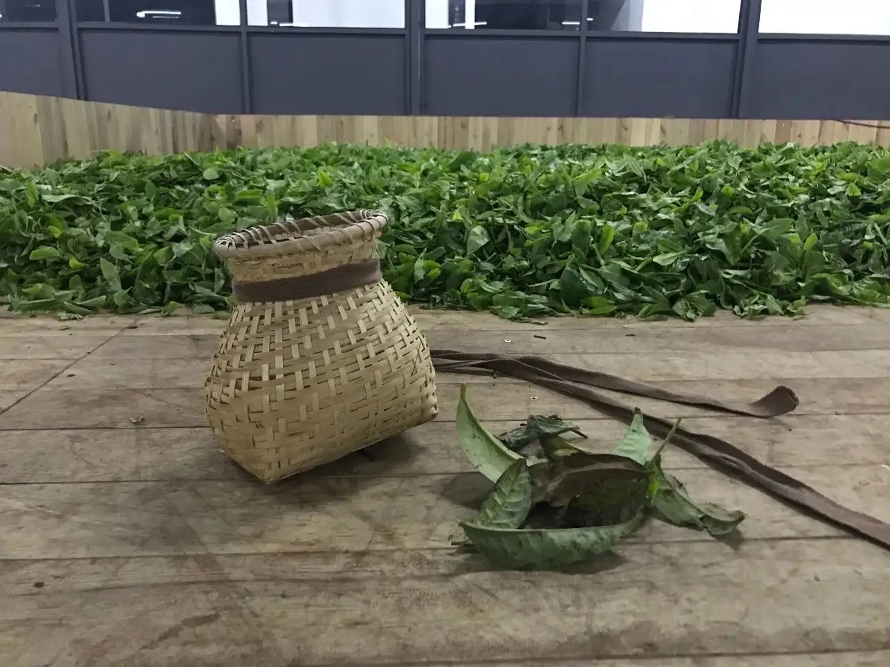 普洱茶，如果不談山頭，我們談什么？