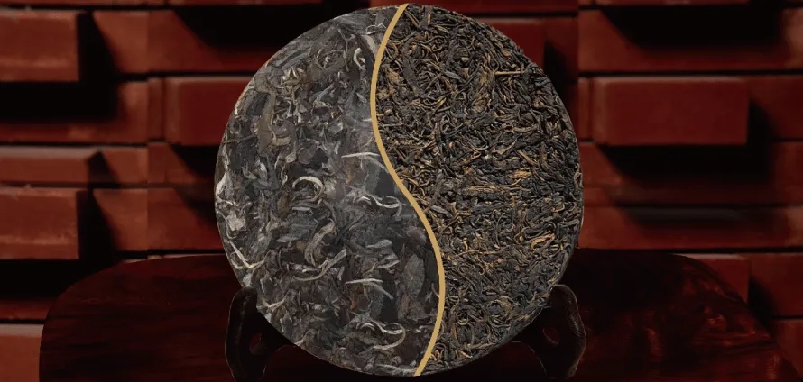 一入普門深似海？入普洱門前，你需要了解這些