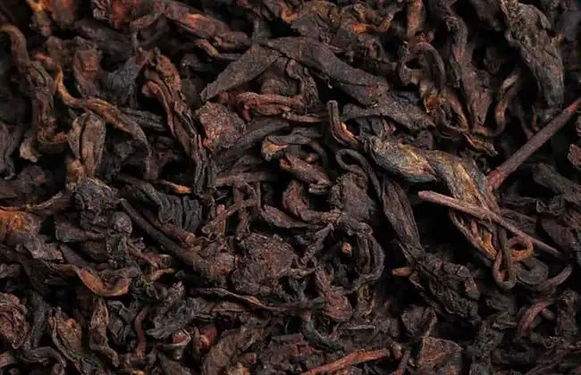 如何選購普洱茶熟茶？