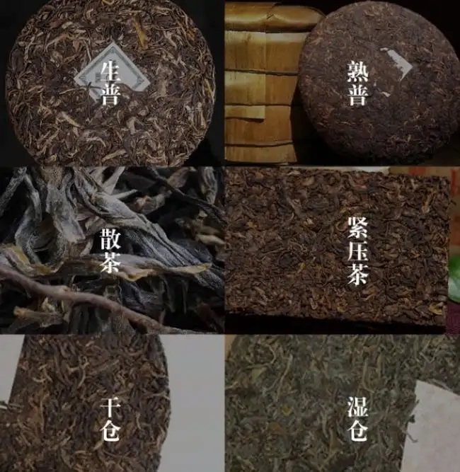 普洱茶不是越陳越香嗎？怎么也有最佳品飲期？