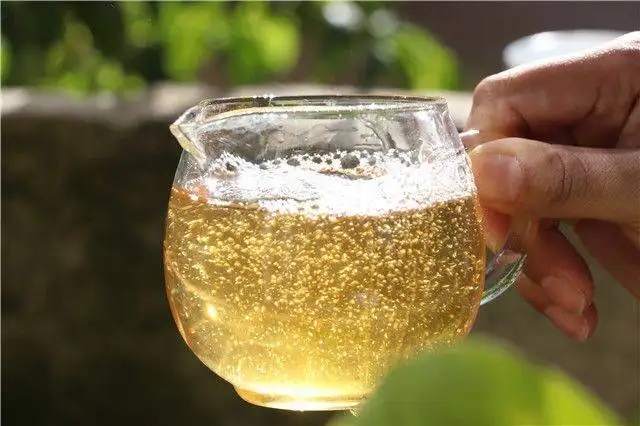 茶顏觀色”，看普洱茶條索里都蘊(yùn)含著怎樣的“密碼”？