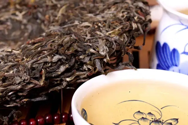 喝普洱茶，生茶和熟茶哪個更適合你？