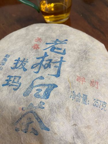 2023年拔瑪老寨古樹春茶口感如何？