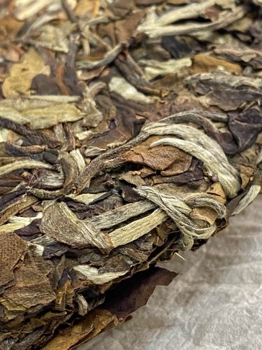 2023年拔瑪老寨古樹春茶特點(diǎn)是什么？