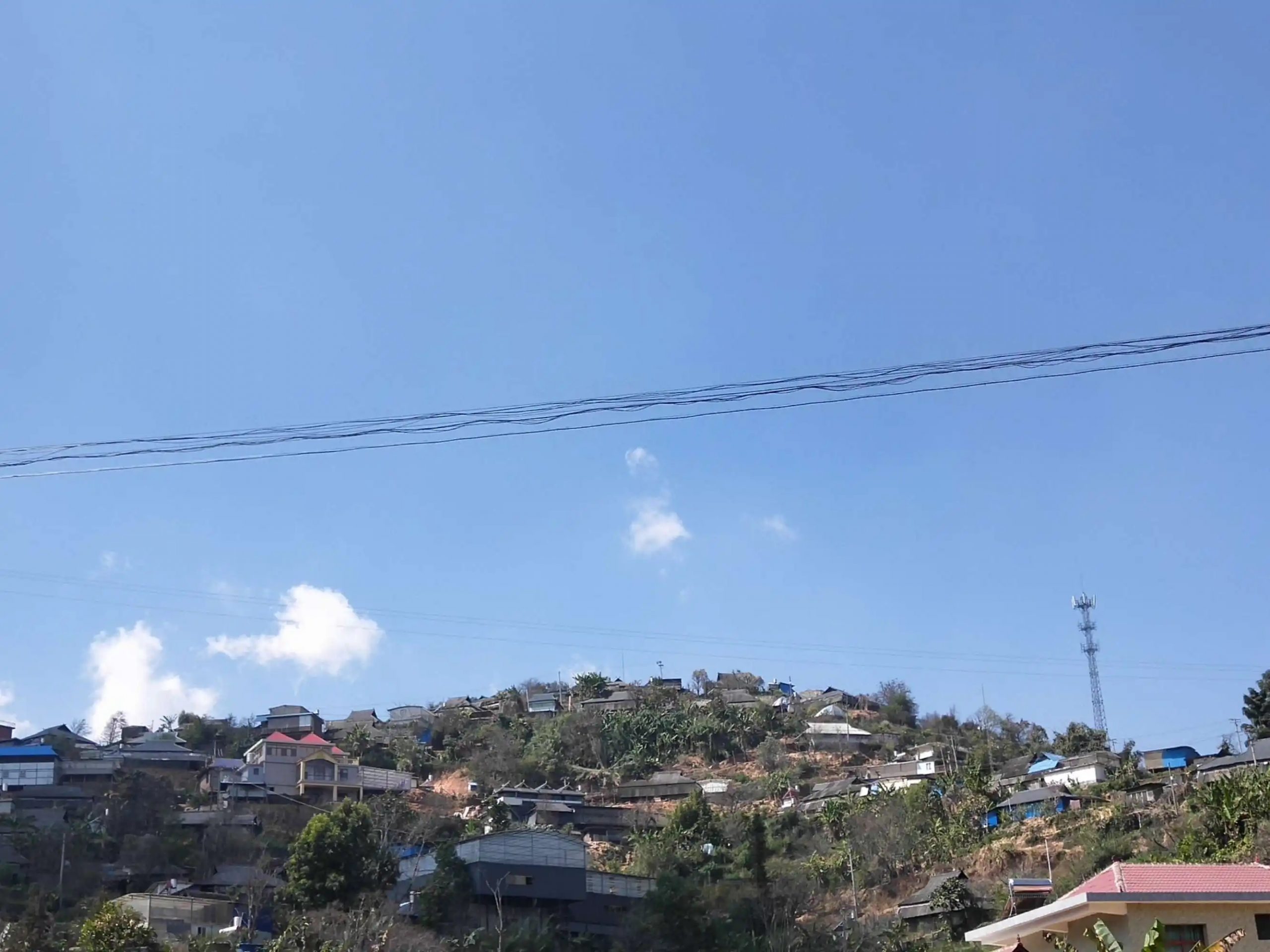 2023帕沙古樹春茶特點是什么？