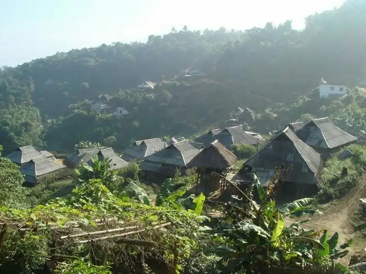 2023年帕沙古樹春茶多少一公斤？