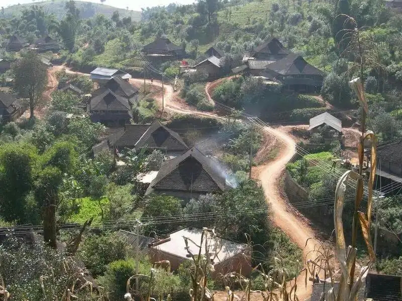 2023年保塘老寨古樹(shù)春茶品質(zhì)如何？