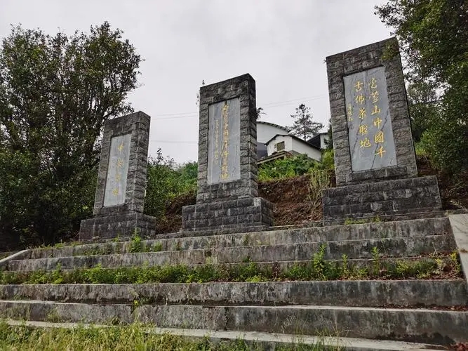 2023年白鶯山古樹春茶品質(zhì)如何？