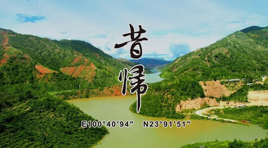 2023年昔歸古樹春茶品質(zhì)如何？