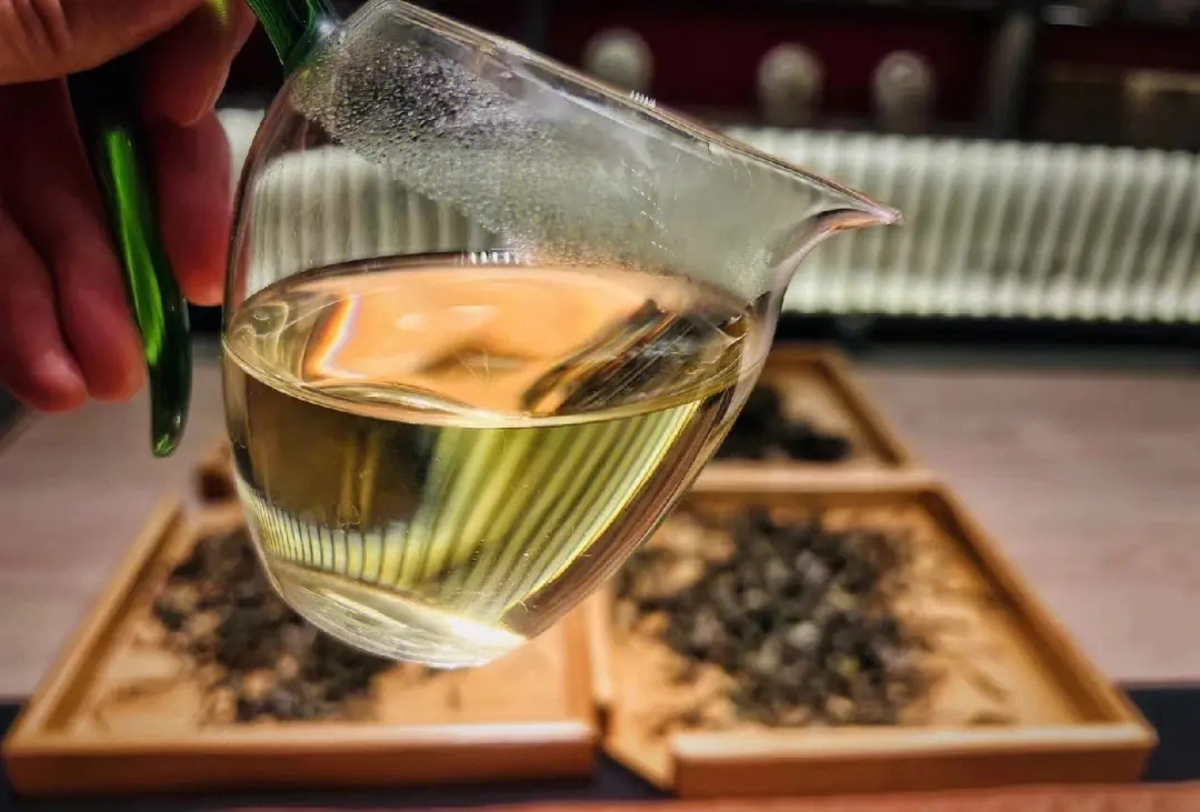 2023年鳳凰窩古樹春茶價格是多少？