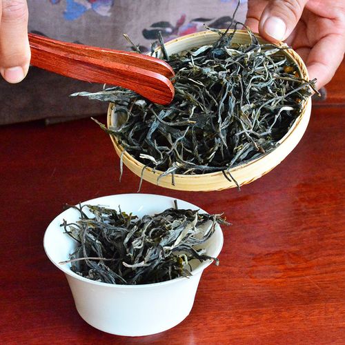 2023年地界古樹春茶口感是什么？