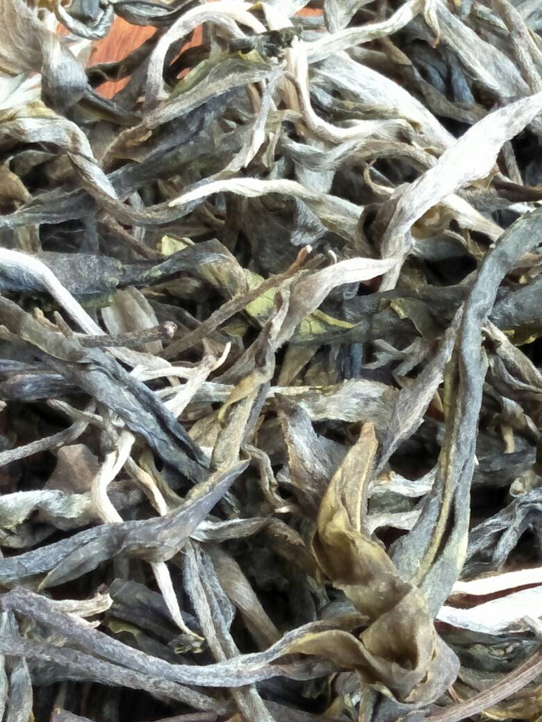 2023年壩歪古樹(shù)春茶價(jià)格是多少？