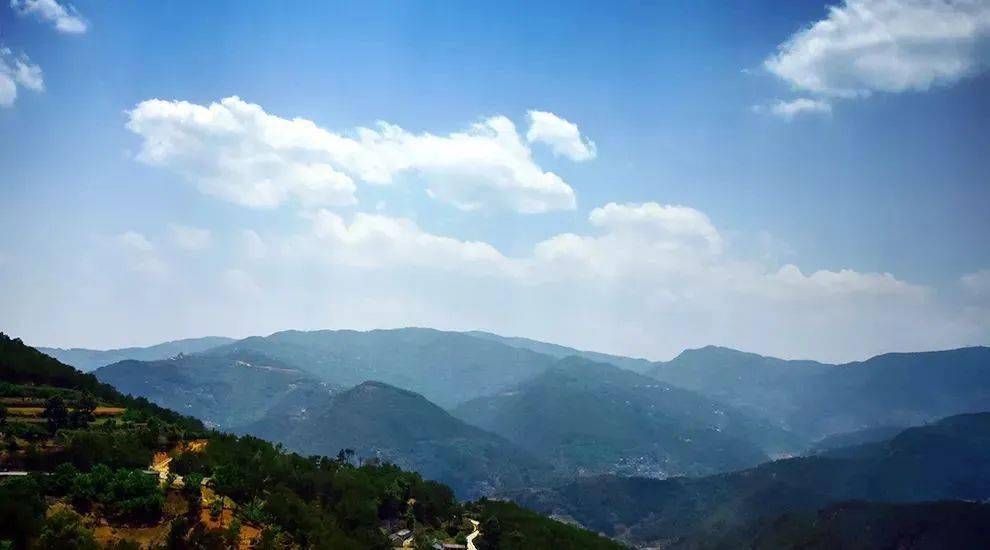 2023年勐庫(kù)大忠山古樹(shù)春茶價(jià)格是多少？