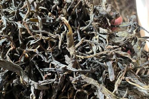 2023年鎮(zhèn)沅老烏山古樹春茶多少一公斤？