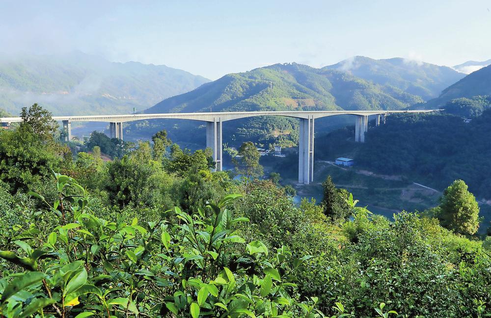 2024年昔歸古樹春茶品質(zhì)如何？