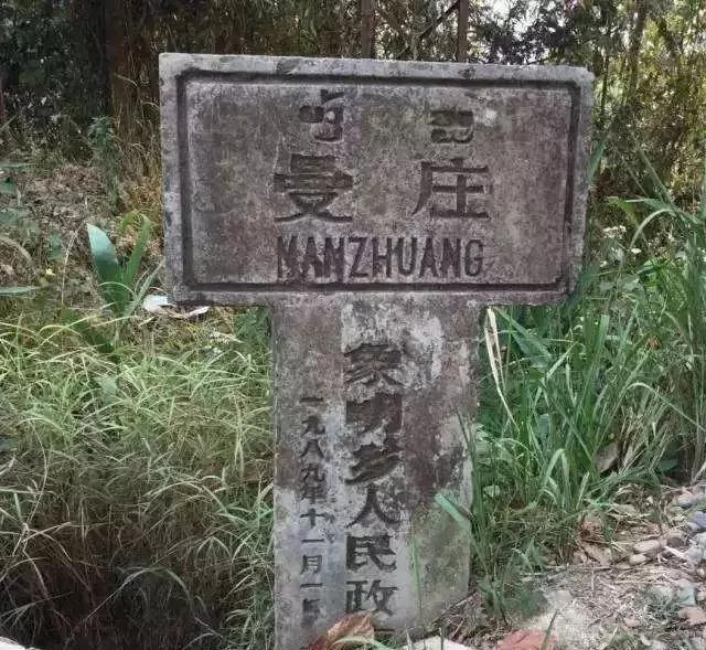 2025年蠻磚古樹春茶價(jià)格是多少？