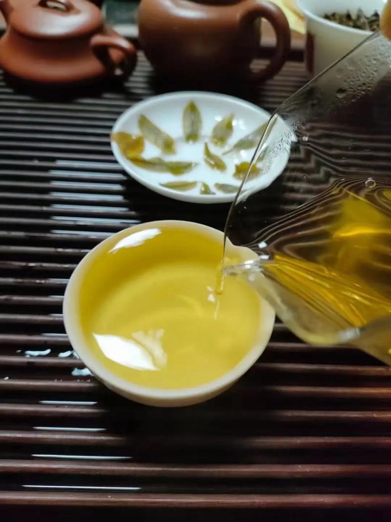 倚邦貢茶，甘甜醇柔
